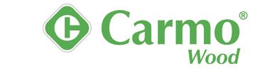 Carmo_Logo_Horizontal