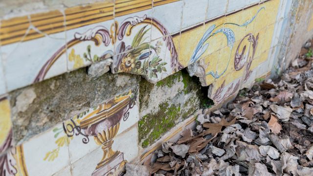 Jardim_Botanico_Palacio_Nacional_e_Jardins_de_Queluz_lowres_creditos_PSML_Wilson_Pereira